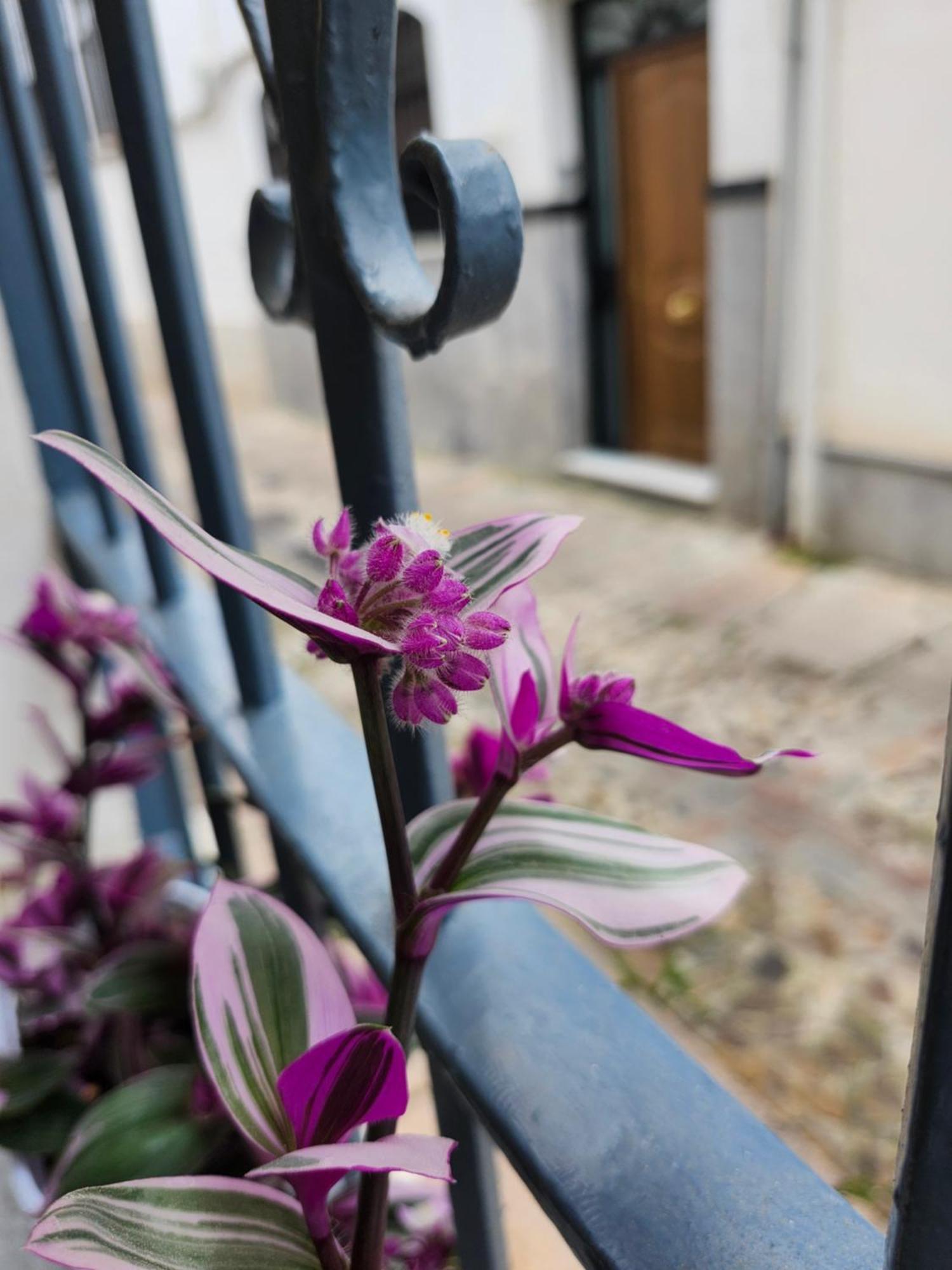 Apartamento Casa Mozarabe 코르도바 외부 사진